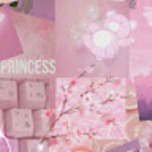 Meet your Posher, Lacey